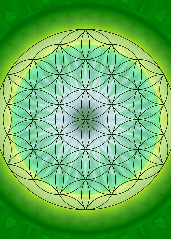 flower of life no. 3