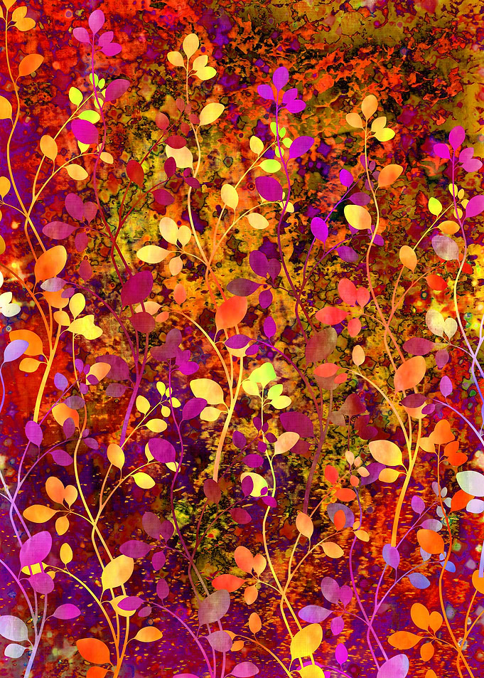 Amongst the Flowers - Warm Sunset