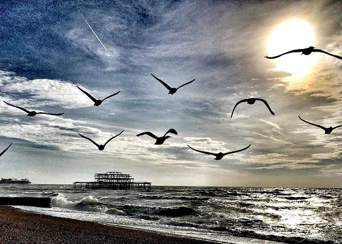 Flying to the sun