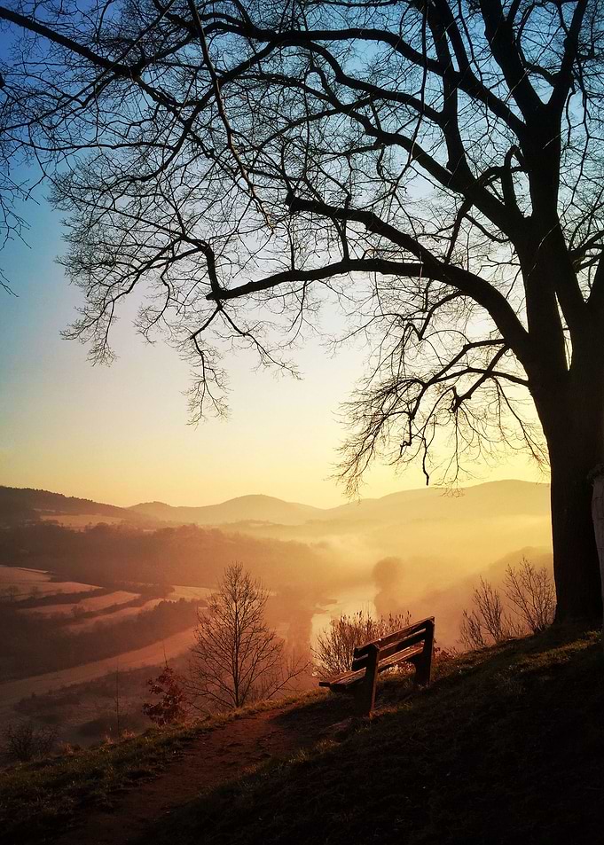 The Morning Sun