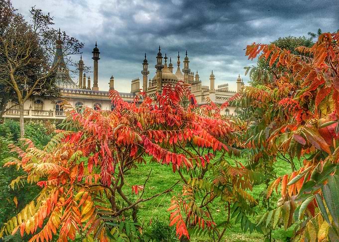 Pavillion garden