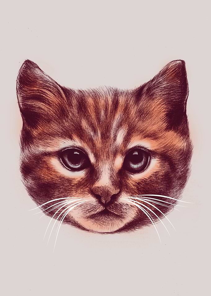 Cat Head