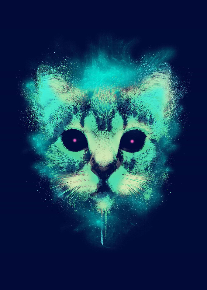 Cosmic Cat
