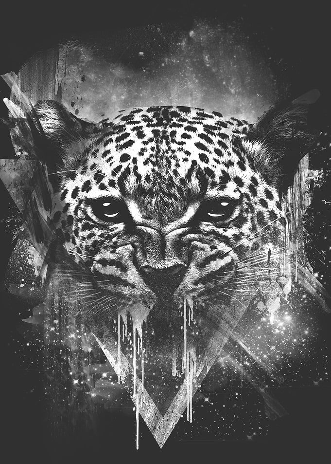 Wild Cosmic