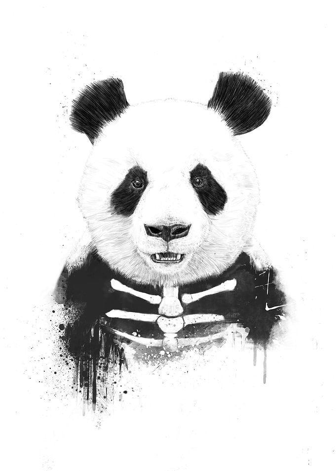 Zombie panda