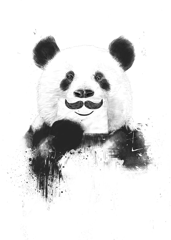 Funny panda
