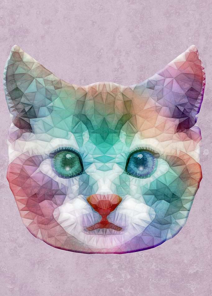 rainbow cat