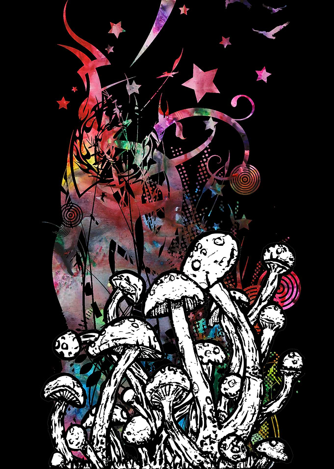 mushroom magic