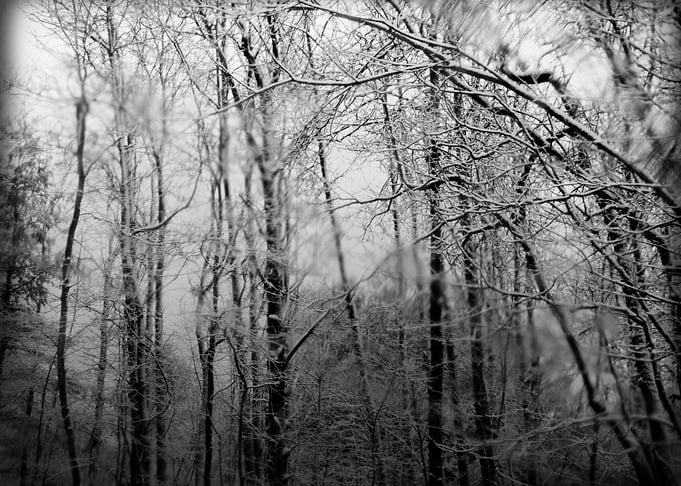 Winter Landscape