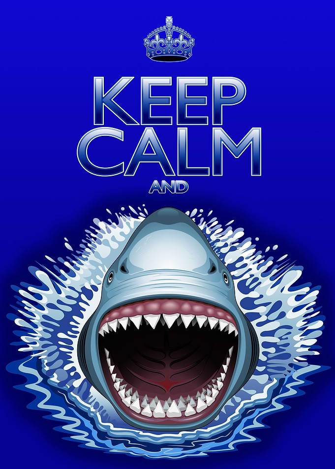 Keep Calm and...Shark Attack!