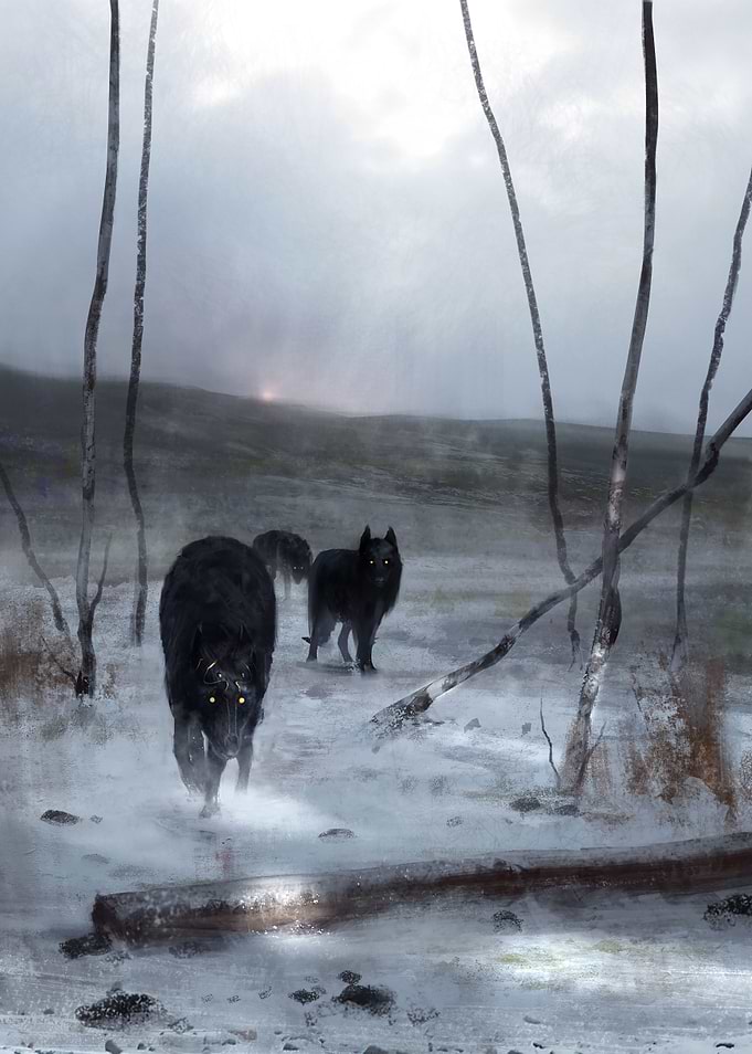 Black wolf king