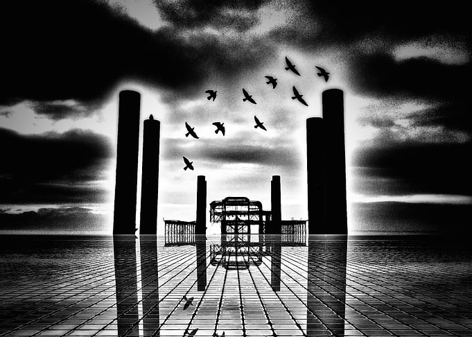 West pier birds