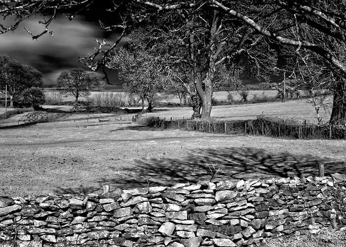 Infra Red Shadows A centuries old Somerset wall as it ...