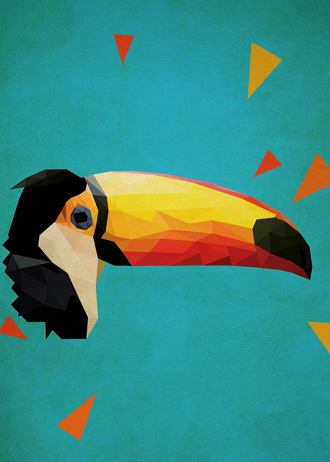 toucan