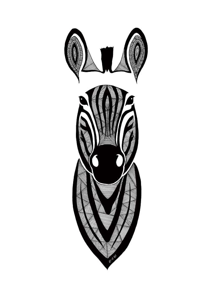 Zebra Africa