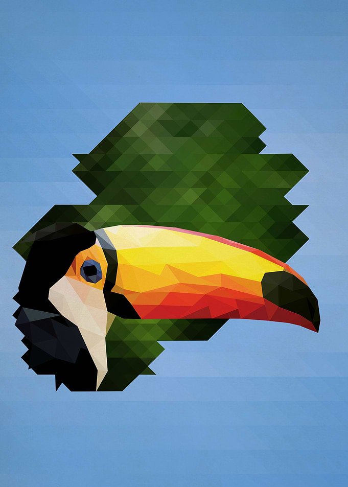 toucan