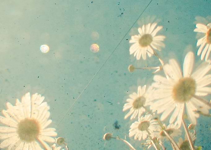 Daydream
