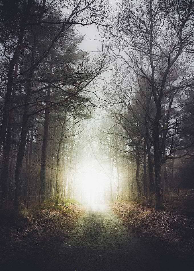 Final destination. Not all roads take you to fairy lan ...
