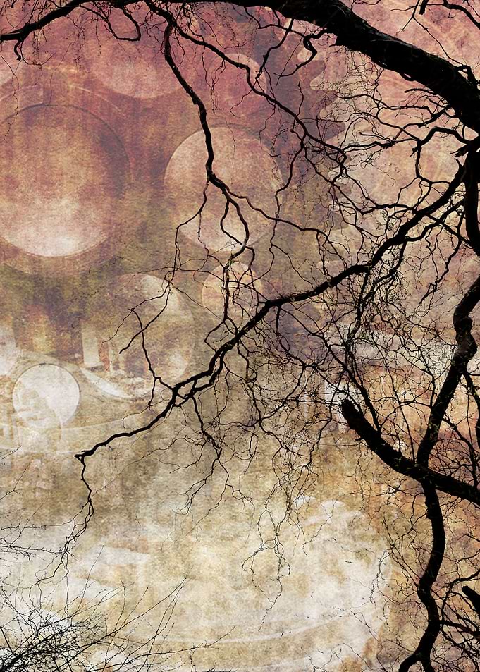 Branches and Texture