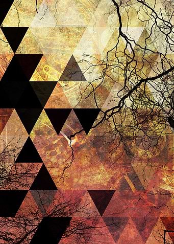 Branches Triangle and Texture
