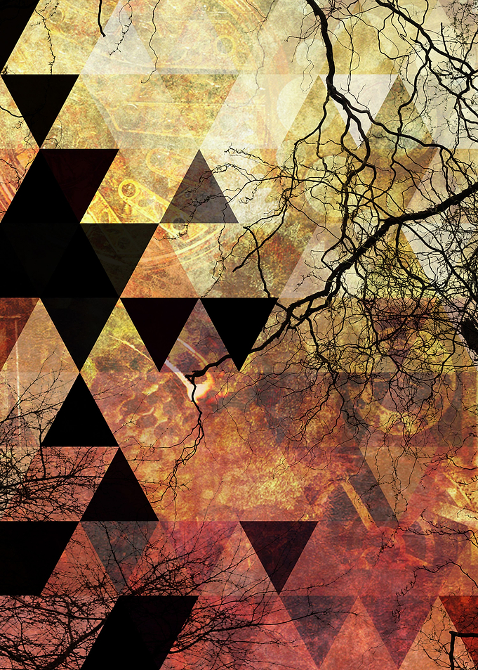 Branches Triangle and Texture
