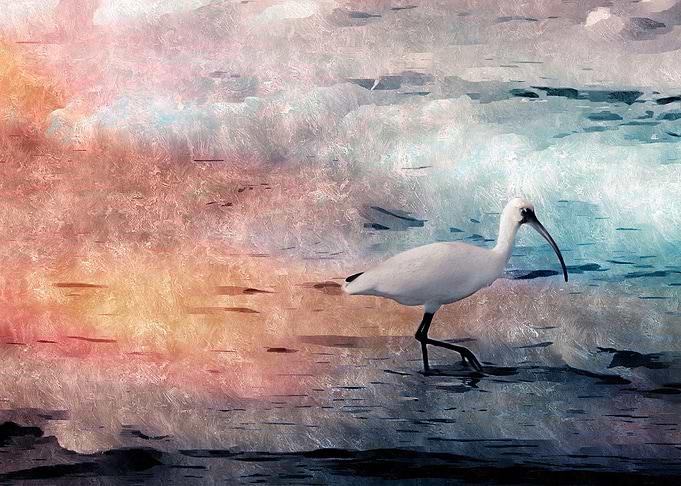 Cloudy Crane