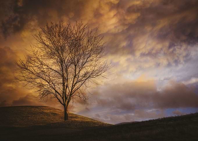 The Moody Sunset