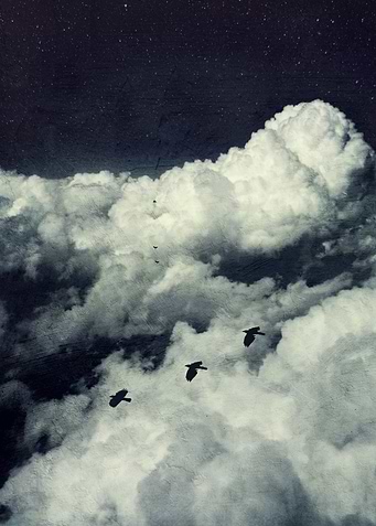 Surreal cloudscape woth birds
