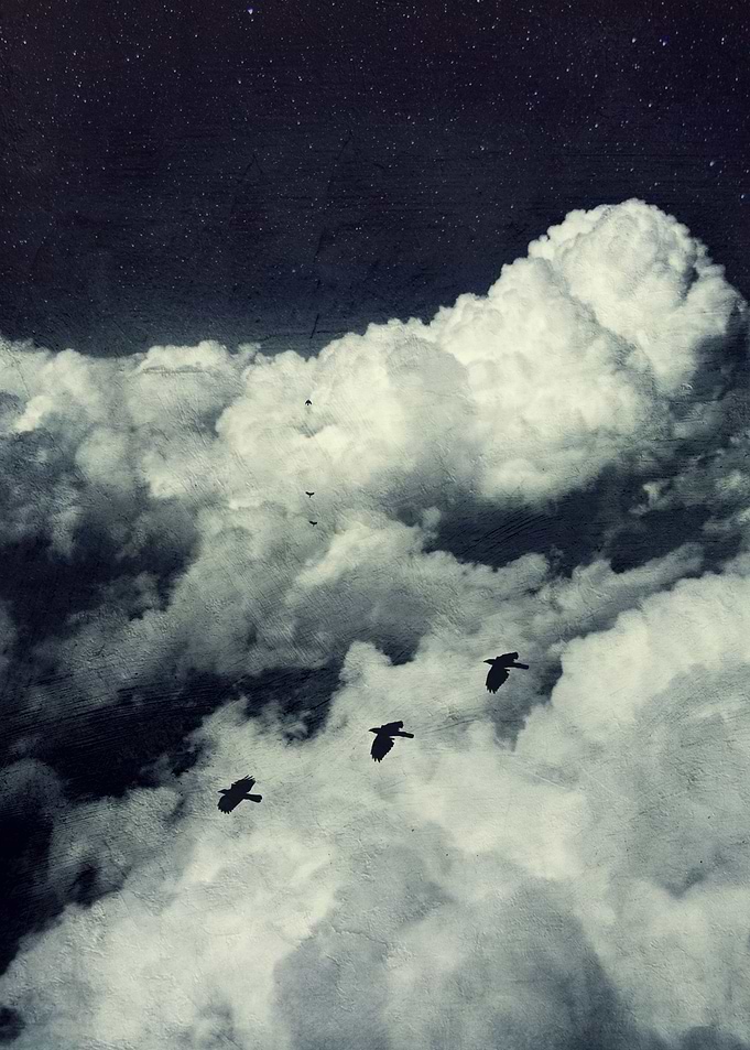 Surreal cloudscape woth birds