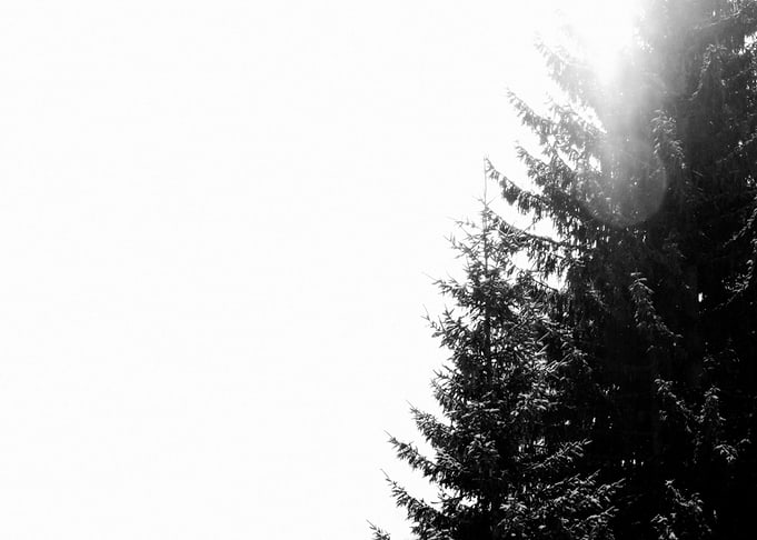 Noiseless ©2014 Anita Kovacevic