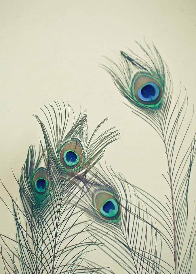 All Eyes Are on You