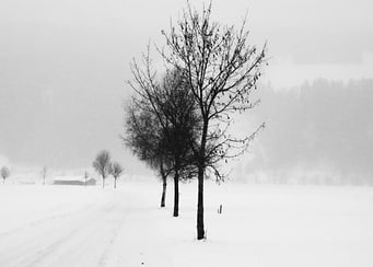 Pure White V ©2015 Anita Kovacevic :: From the series ...