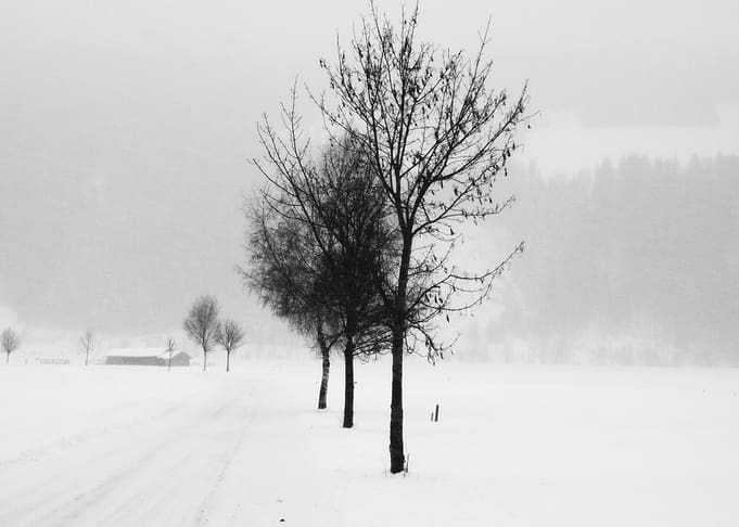 Pure White V ©2015 Anita Kovacevic :: From the series ...