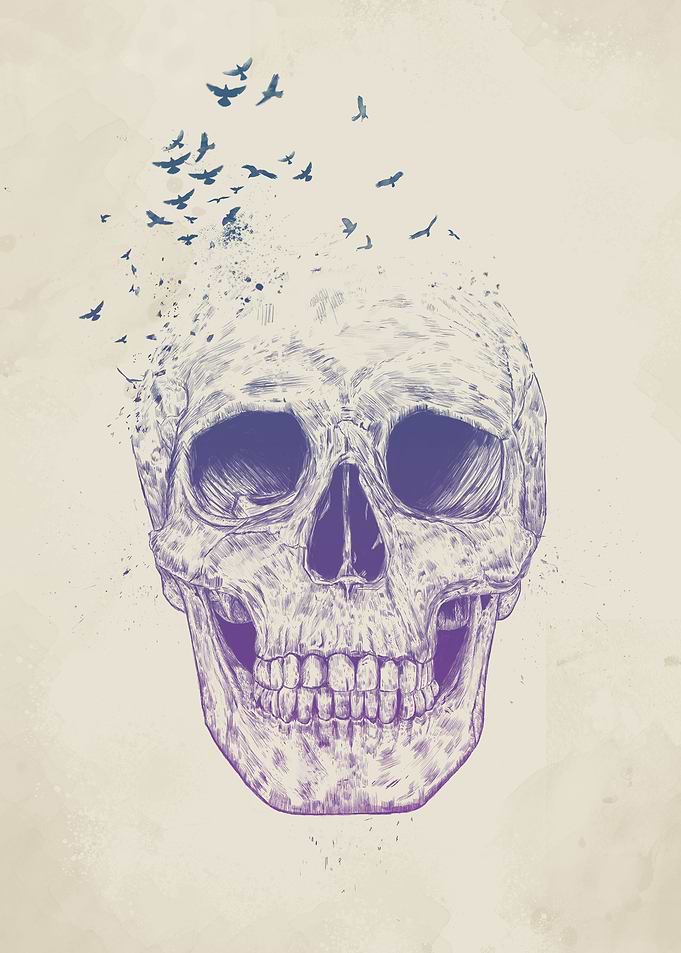Let them fly