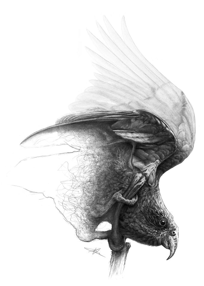 The Parrot