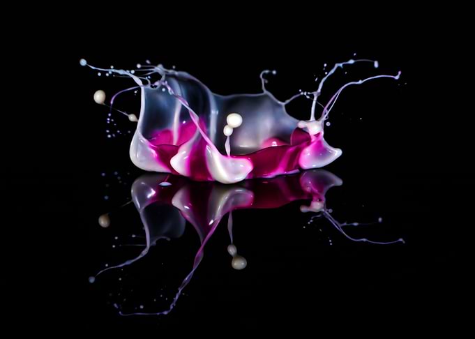 White and violet crown