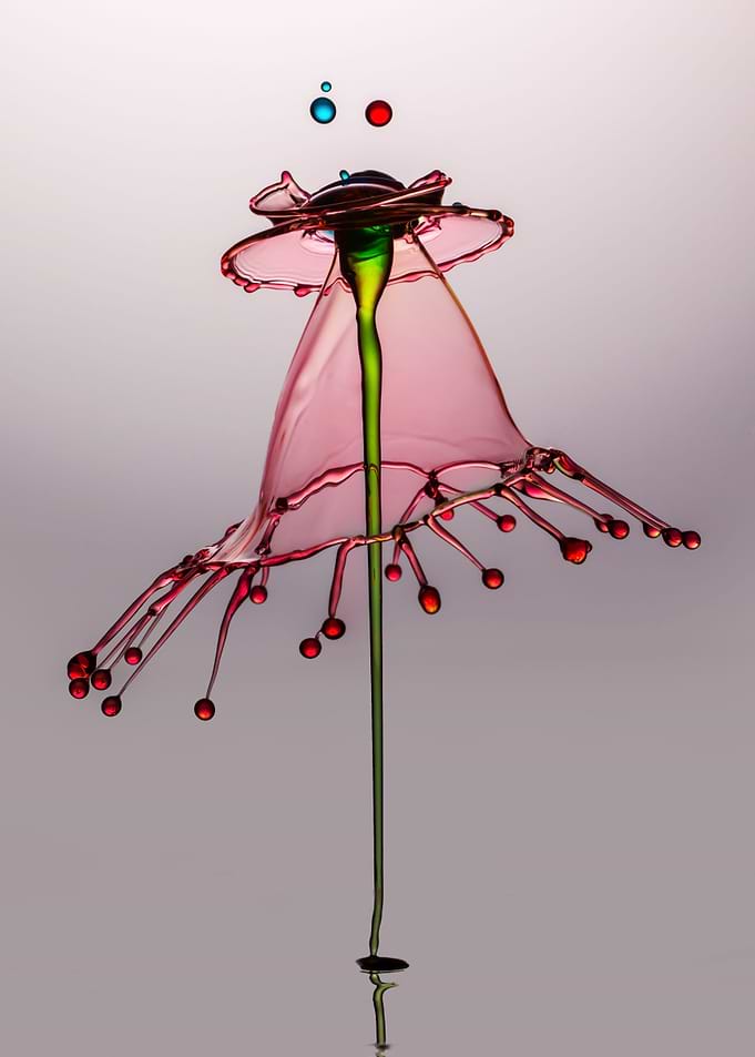 Pink splash