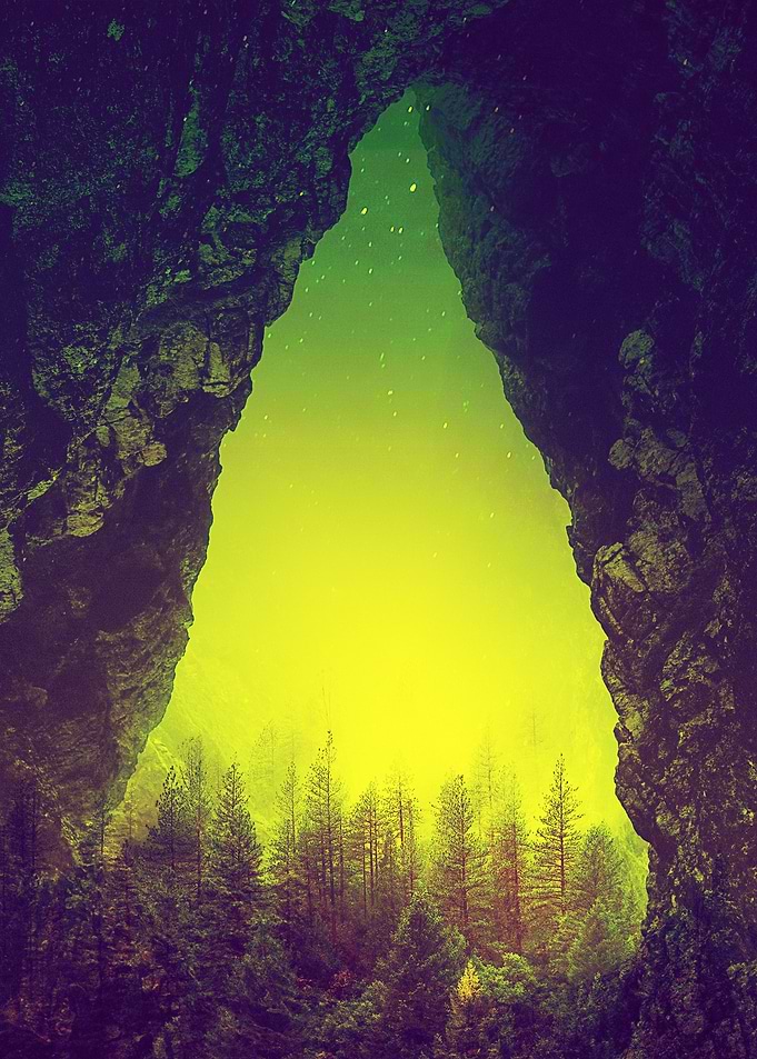 Toxic Forestry