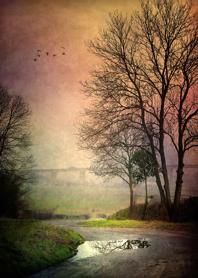 Foggy Path