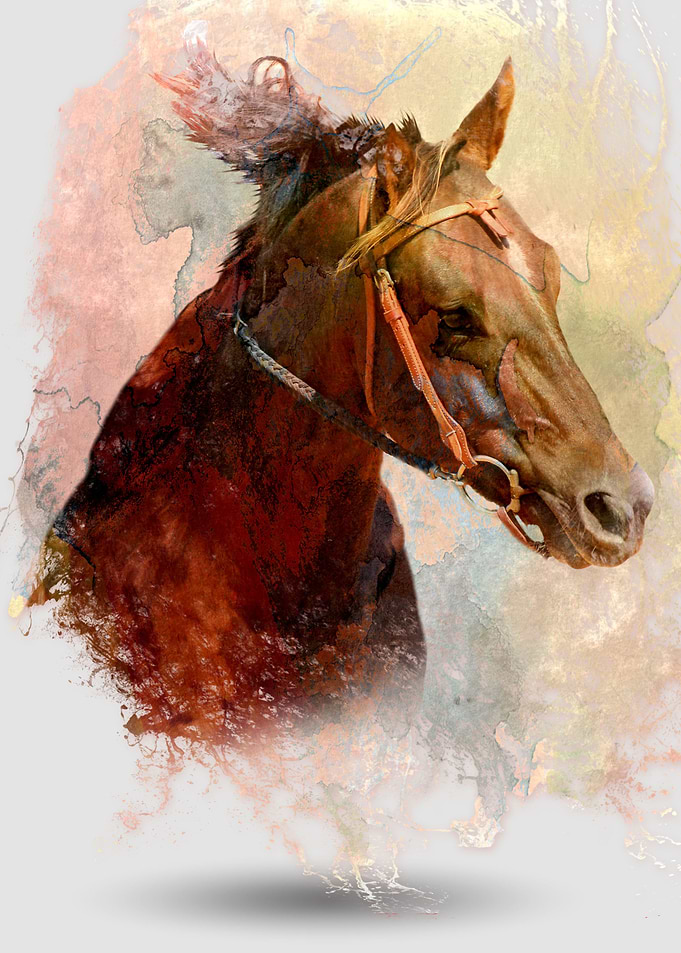 Horse through Water Color