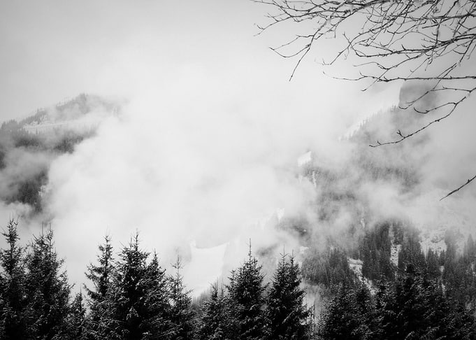 Noiseless I ©2014 Anita Kovacevic