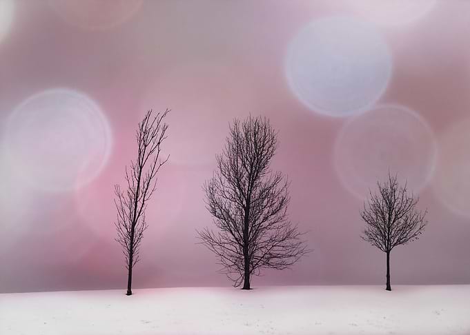 Pink Sunset