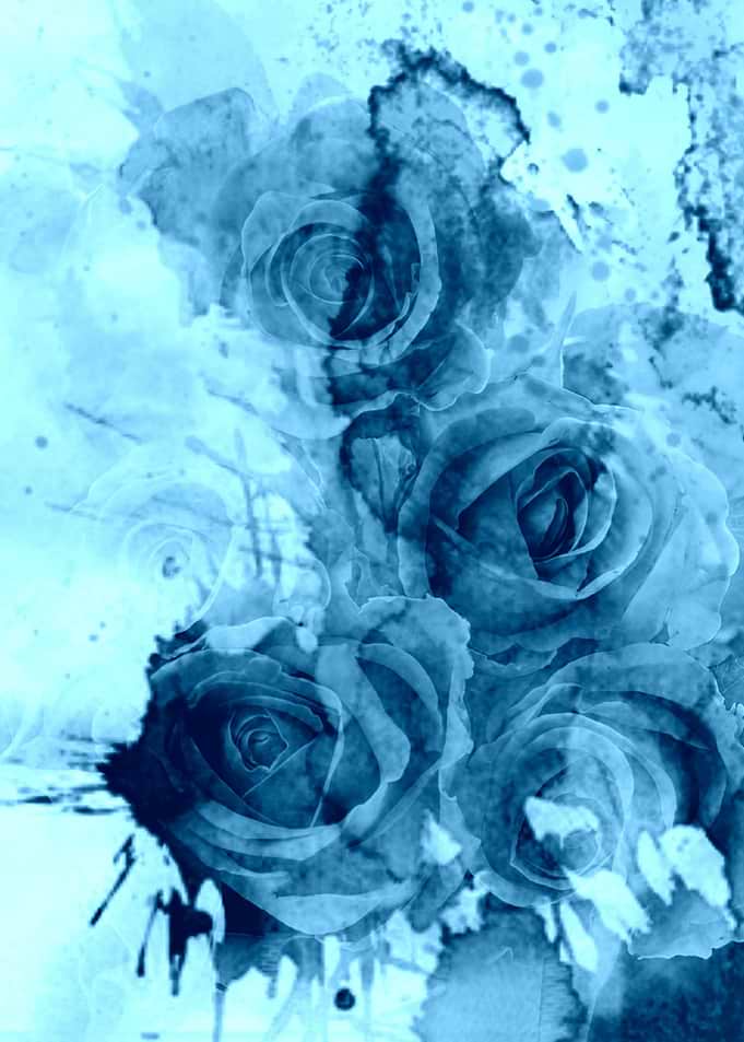 roses underwater