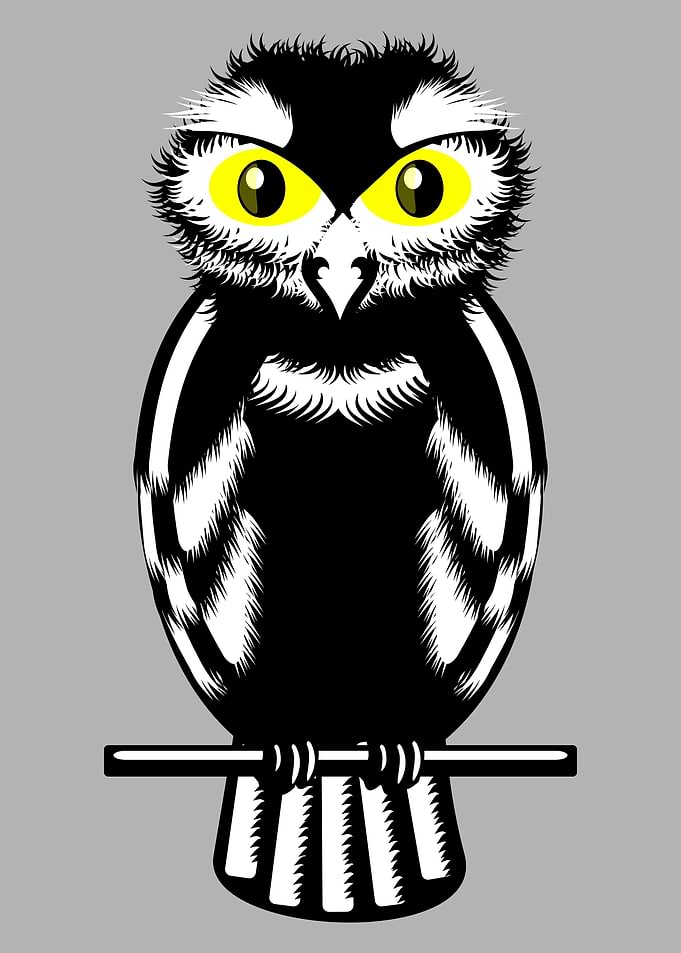 Owl. A black and white owl with huge yellow eyes. This ...