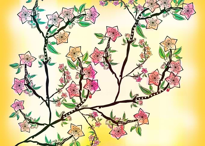 Cherry Blossoms