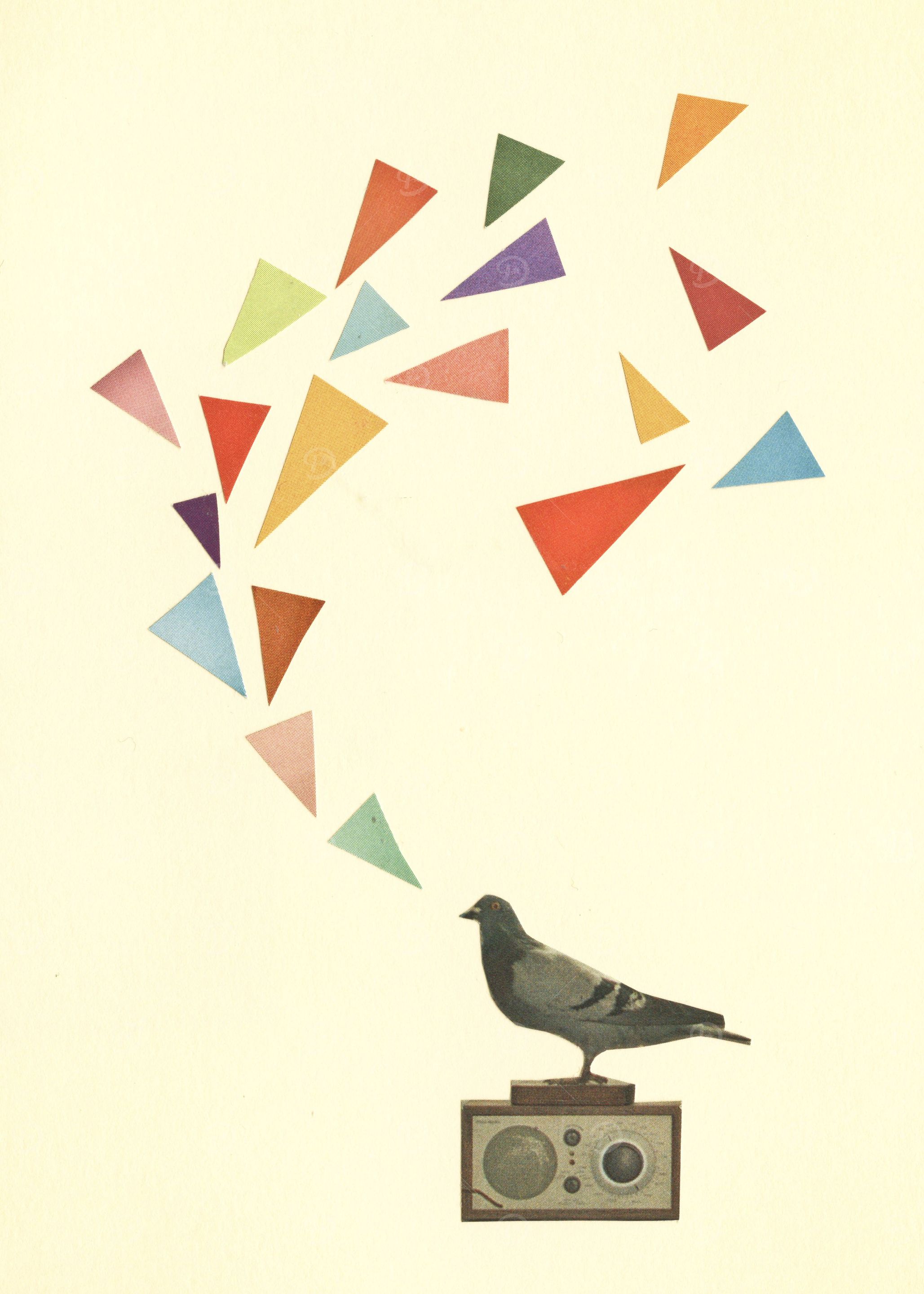Pigeon Radio