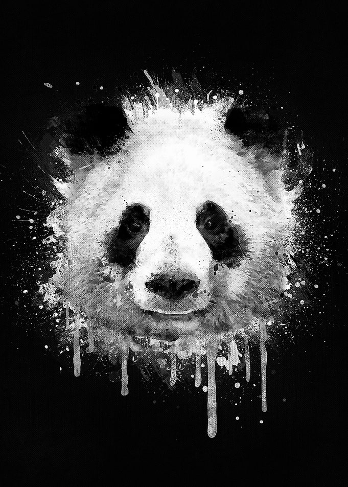 Cool Abstract Graffiti Watercolor Panda Portrait in Bla ...