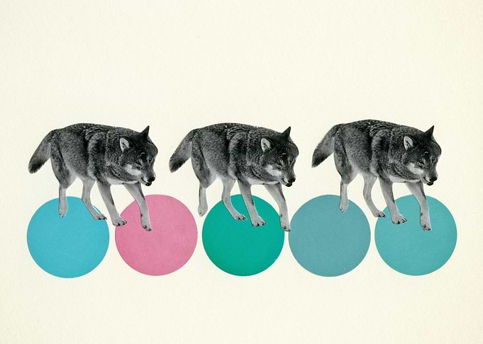 Hungry Wolves