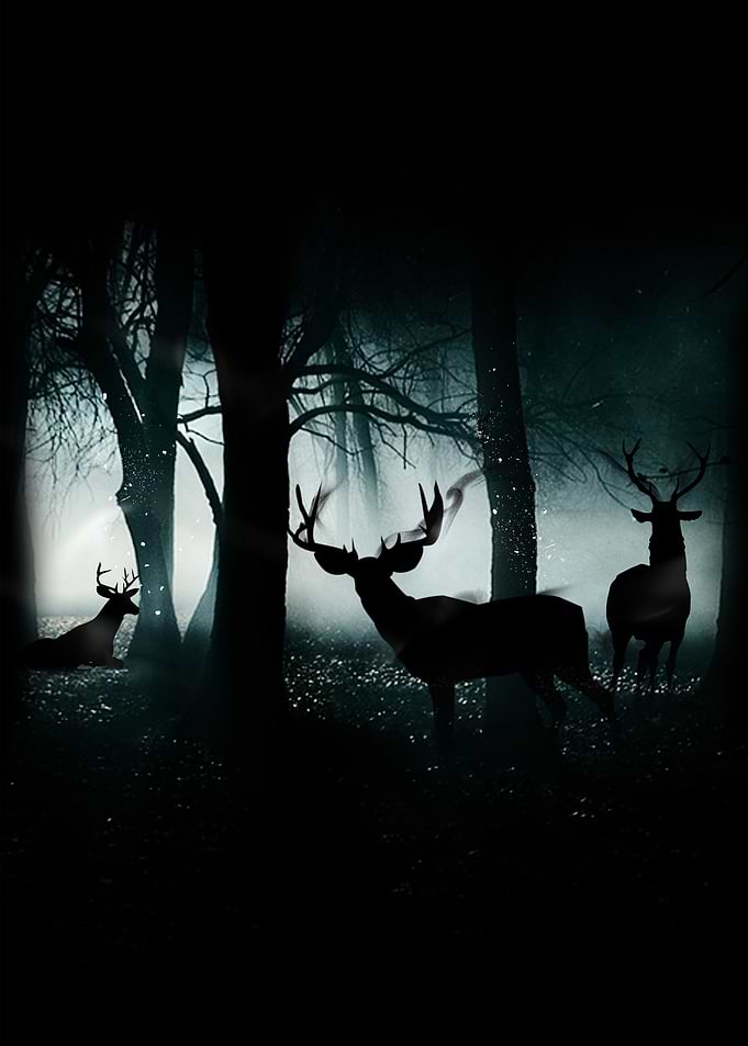 Guardians Of The Forest: The deer are the keepers of th ...