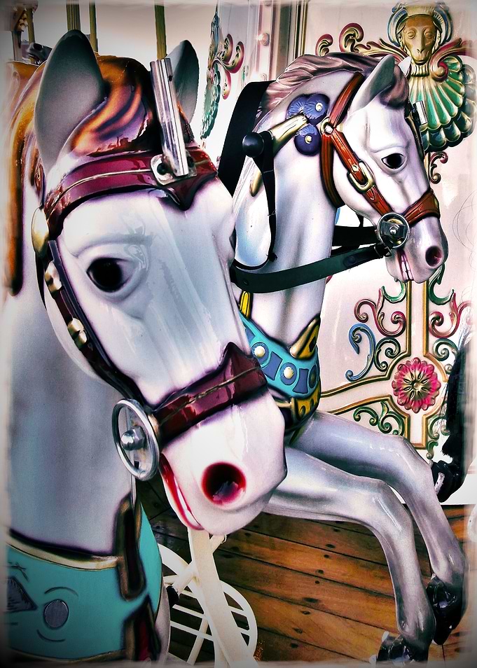 The Carousel